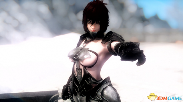 上古卷轴5 半吸血鬼酷酷妹子随从RenMOD