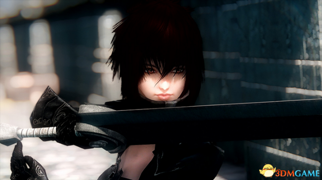 上古卷轴5 半吸血鬼酷酷妹子随从RenMOD