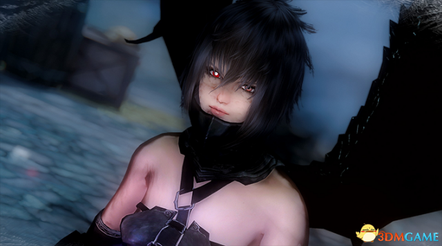 上古卷轴5 半吸血鬼酷酷妹子随从RenMOD