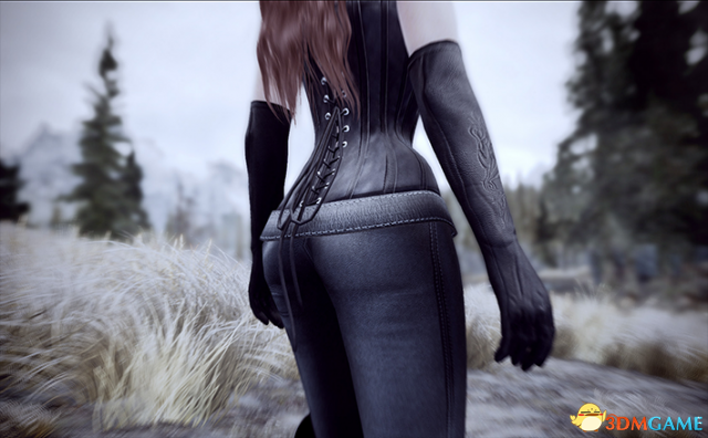 上古卷轴5 UNP蒸汽朋克风连体黑皮衣套装MOD v1.2