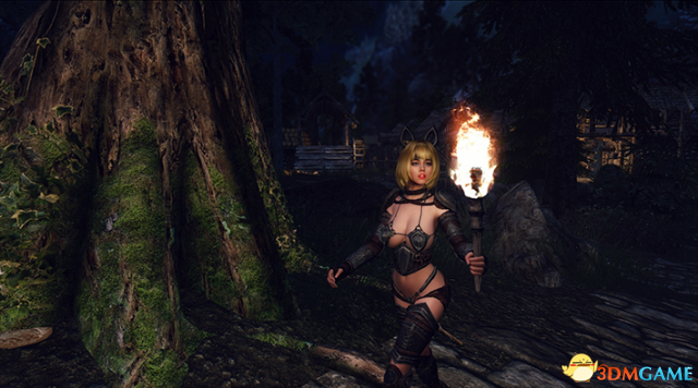 上古卷轴5 性感兔牙妹索萨独立战士随从MOD