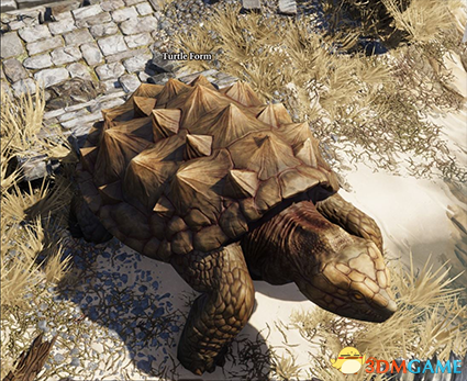 神界:原罪2 v3.0.146.969德鲁伊职业MOD