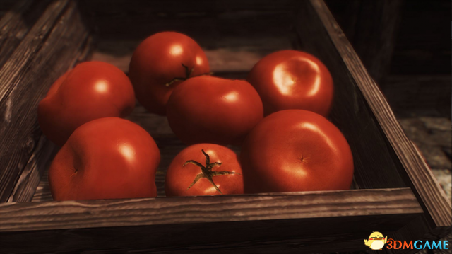 上古卷轴5 身临其境的食物MOD