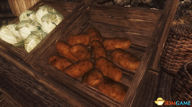 上古卷轴5 身临其境的食物MOD