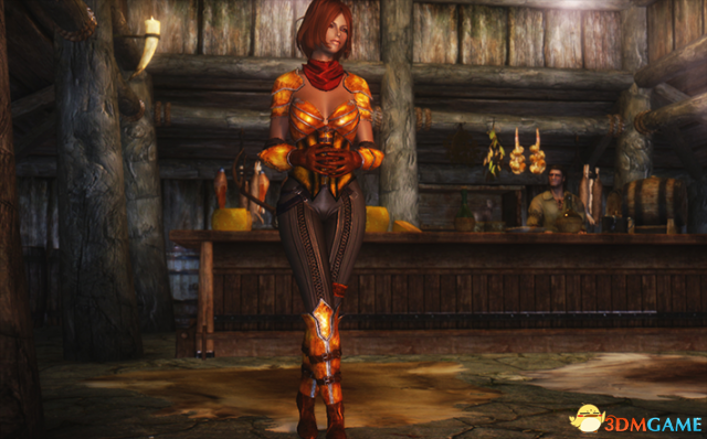 上古卷轴5：天际重制版 CBBE暗黑3恶魔猎手护甲套装MOD V2