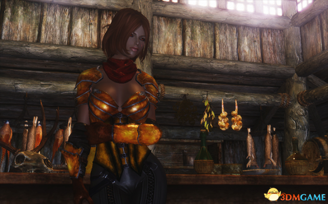 上古卷轴5：天际重制版 CBBE暗黑3恶魔猎手护甲套装MOD V2