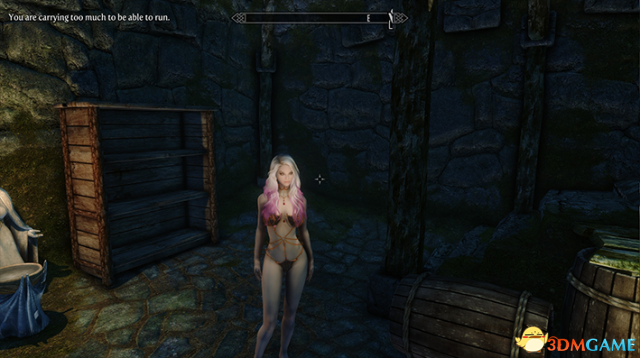 上古卷轴5：天际重制版 UUNP吸血鬼钢链比基尼胸甲