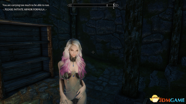 上古卷轴5：天际重制版 UUNP吸血鬼钢链比基尼胸甲