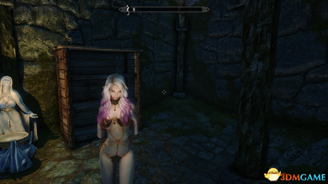 上古卷轴5：天际重制版 UUNP吸血鬼钢链比基尼胸甲