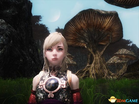 上古卷轴5 战神公主小陈随从MOD