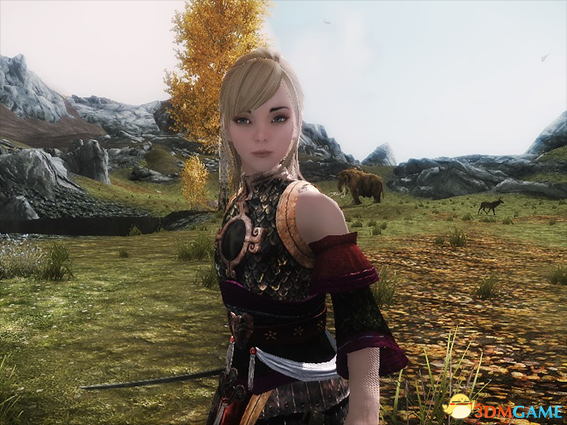 上古卷轴5 战神公主小陈随从MOD