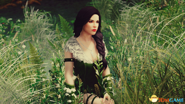 上古卷轴5 精灵公主伊丝缇独立随从MOD