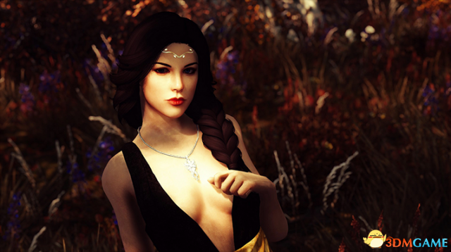 上古卷轴5 精灵公主伊丝缇独立随从MOD