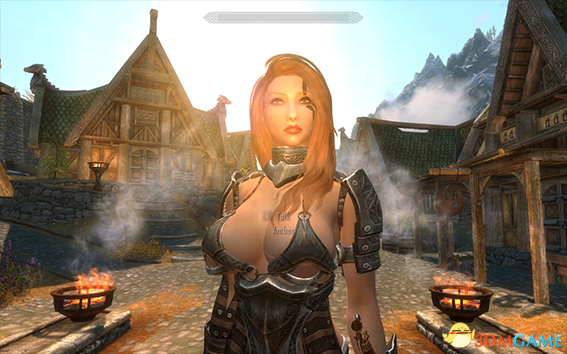 上古卷轴5 安伯amber独立随从MOD