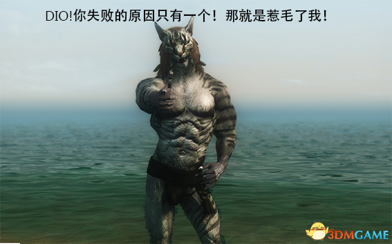 上古卷轴5 筋肉兄贵强壮的虎人MOD v2.3