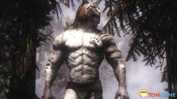 上古卷轴5 筋肉兄贵强壮的虎人MOD v2.3