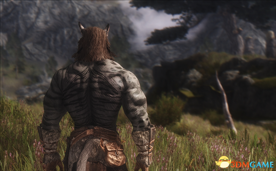 上古卷轴5 筋肉兄贵强壮的虎人MOD v2.3