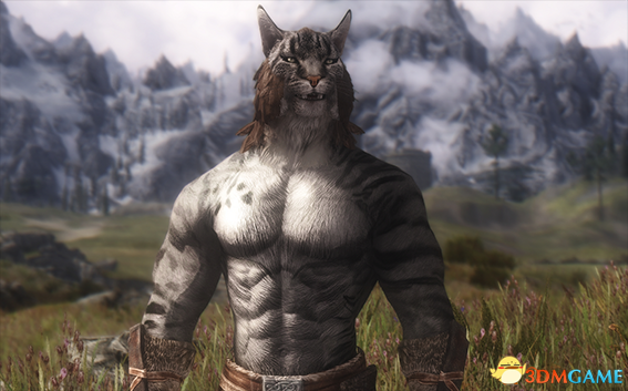 上古卷轴5 筋肉兄贵强壮的虎人MOD v2.3