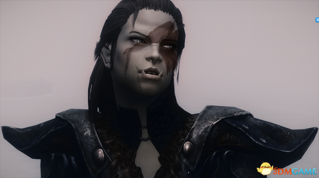 上古卷轴5 兽人之刃女战士蒂什随从MOD