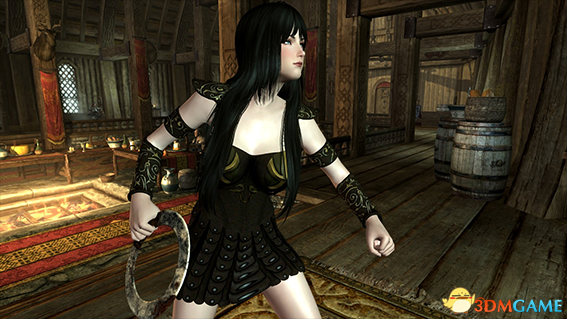 上古卷轴5 战士公主西娜独立随从MOD