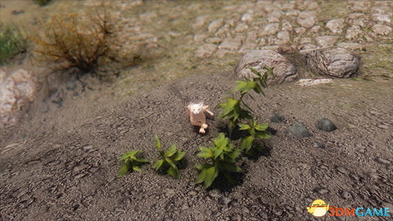 上古卷轴5 喵星人查理随从MOD