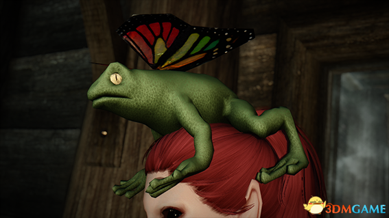 上古卷轴5 神奇的蜥蜴青蛙帽子MOD