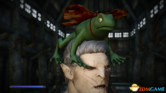 上古卷轴5 神奇的蜥蜴青蛙帽子MOD