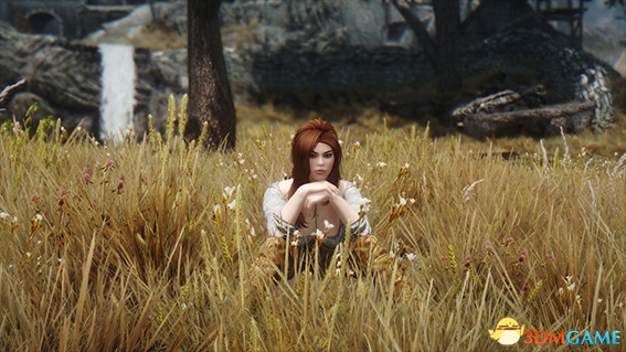 上古卷轴5 剑士御姐莉拉独立随从MOD