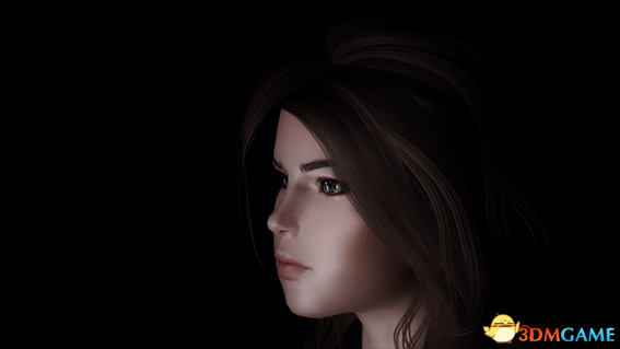 上古卷轴5 剑士御姐莉拉独立随从MOD