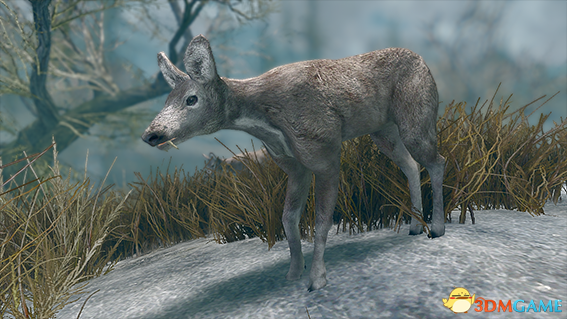 上古卷轴5 鹿科生物扩展包MOD