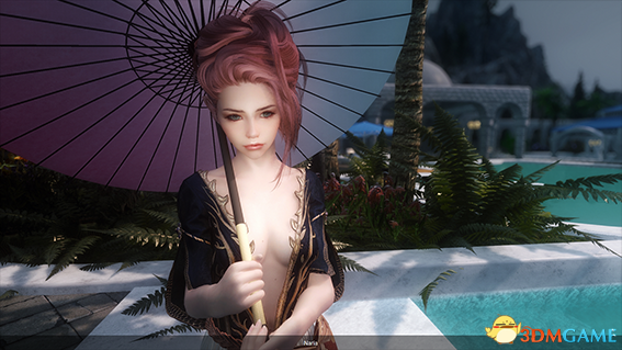 上古卷轴5 木精灵魔剑士娜芮娅美女随从MOD