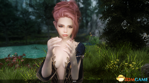 上古卷轴5 木精灵魔剑士娜芮娅美女随从MOD