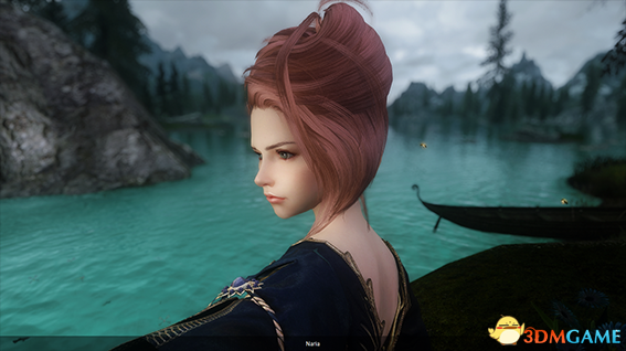 上古卷轴5 木精灵魔剑士娜芮娅美女随从MOD