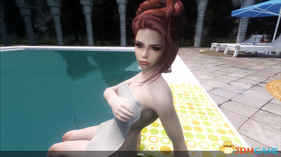 上古卷轴5 木精灵魔剑士娜芮娅美女随从MOD