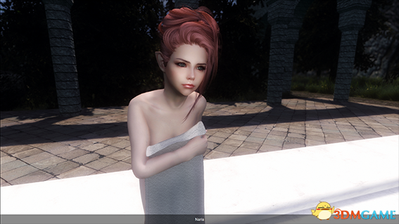 上古卷轴5 木精灵魔剑士娜芮娅美女随从MOD