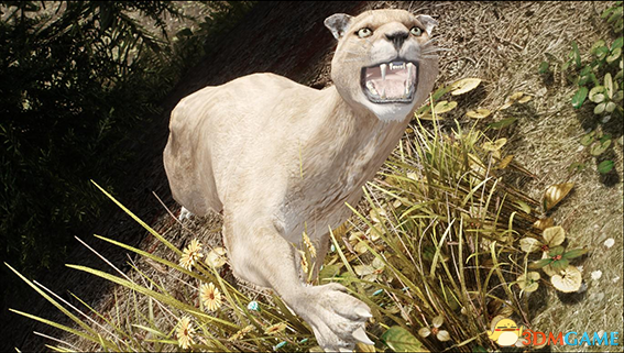 上古卷轴5 美洲狮和美洲豹生物MOD