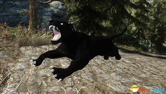 上古卷轴5 美洲狮和美洲豹生物MOD