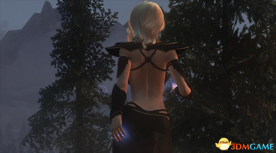 上古卷轴5：天际重制版 闪电法师瓦拉御姐随从MOD