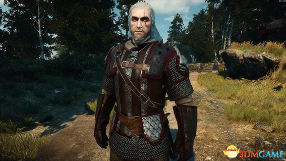 巫师3:狂猎 v1.31狮鹫学派雄师高清美化MOD v1.2