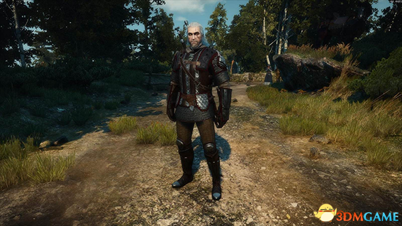 巫师3:狂猎 v1.31狮鹫学派雄师高清美化MOD v1.2