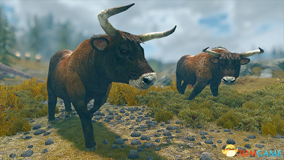 上古卷轴5 欧洲野牛原牛和野马生物MOD