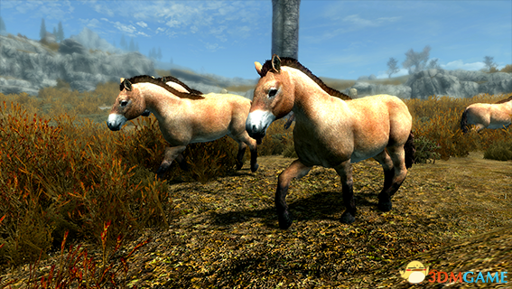 上古卷轴5 欧洲野牛原牛和野马生物MOD