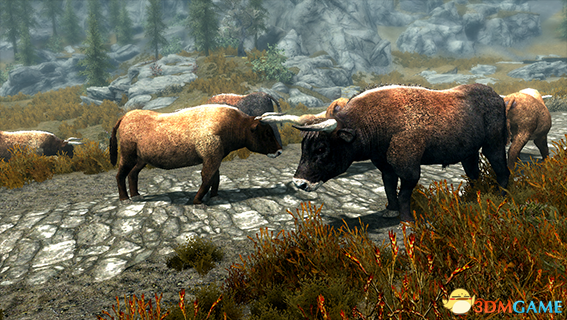 上古卷轴5 欧洲野牛原牛和野马生物MOD