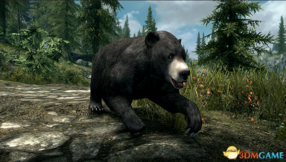 上古卷轴5 塞瑞迪尔熊生物MOD