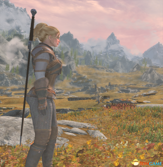 上古卷轴5 巫师3Eskel猎魔人护甲套装MOD