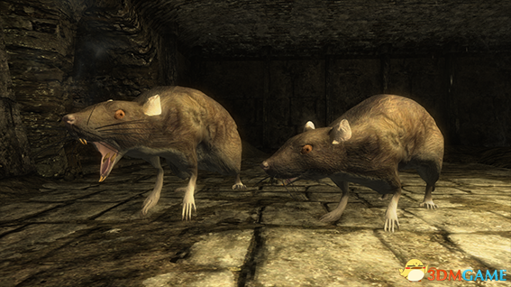 上古卷轴5 巨鼠生物MOD