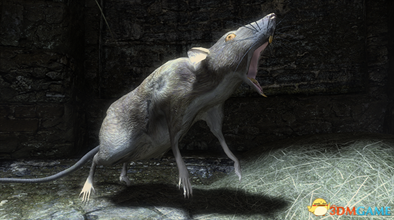 上古卷轴5 巨鼠生物MOD