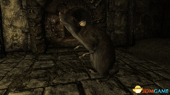 上古卷轴5 巨鼠生物MOD