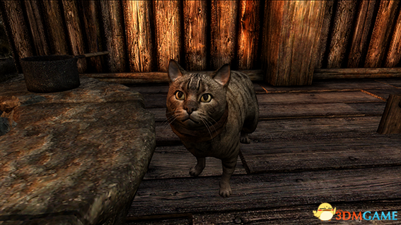 上古卷轴5 喵星人家猫狸花宠物生物MOD