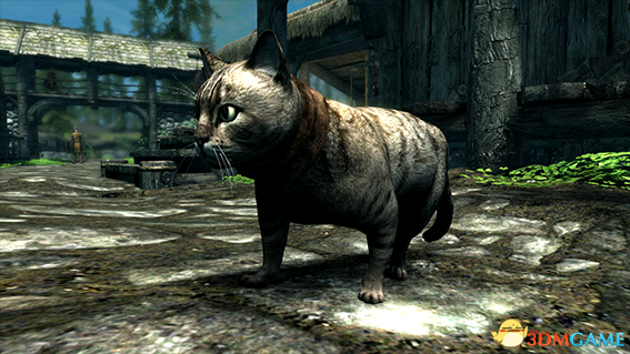 上古卷轴5 喵星人家猫狸花宠物生物MOD